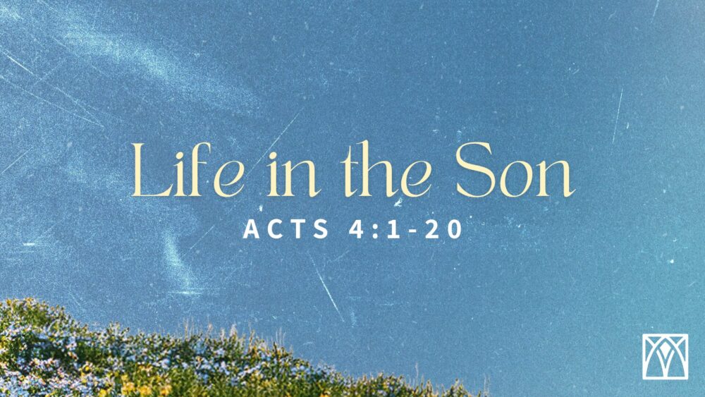 Life in the Son